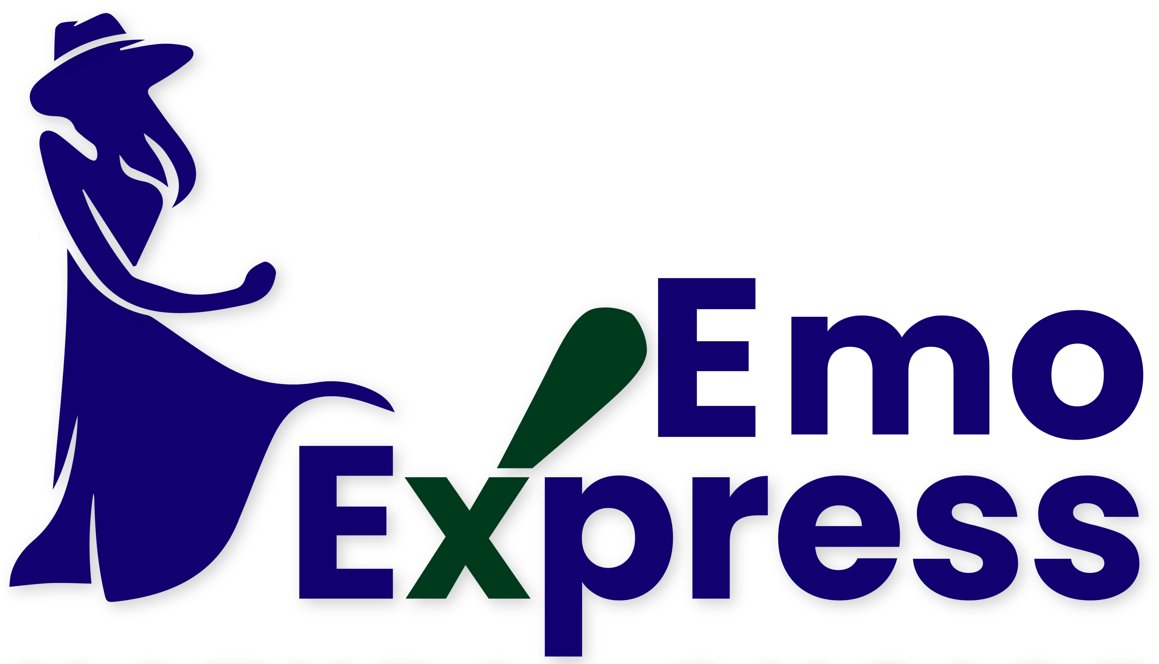 Emo Express store